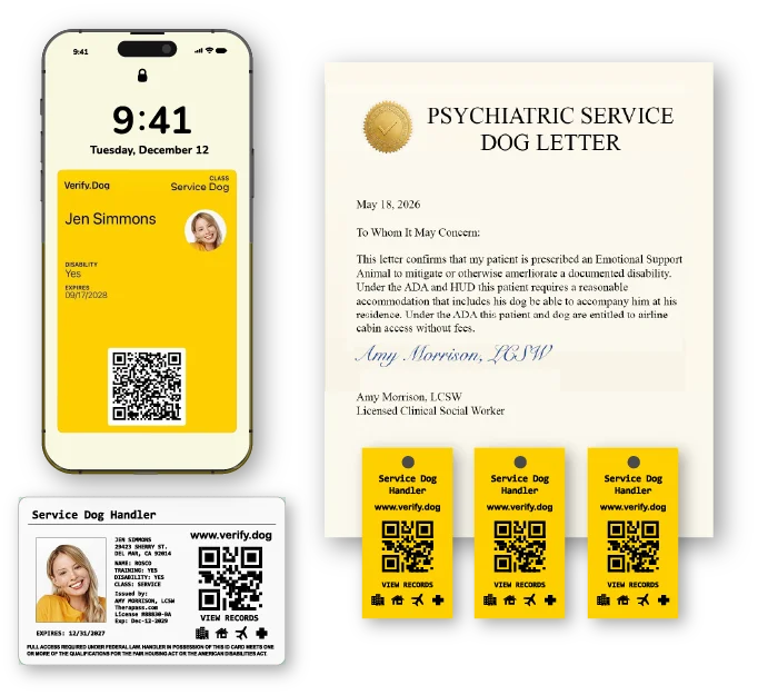 PSD letter kit with ID card and documents